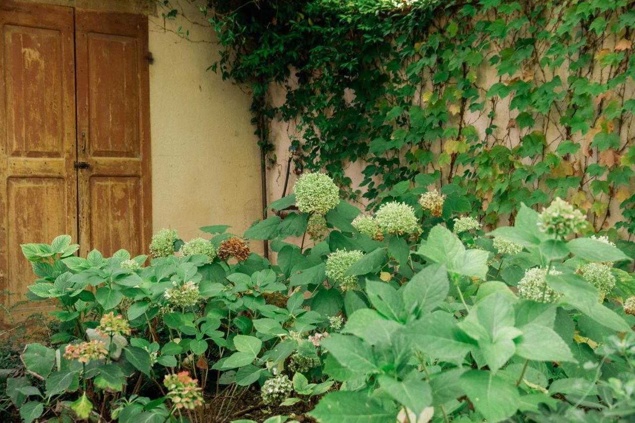 Casale Hortensia ريجّو إيميليا المظهر الخارجي الصورة