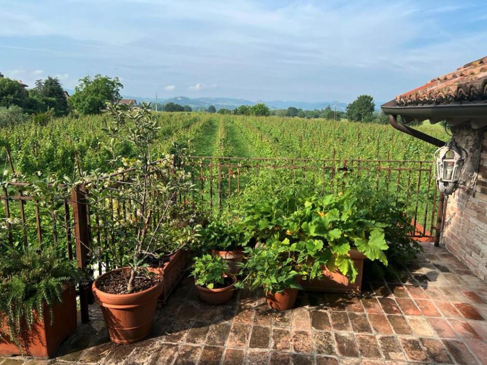 Casale Hortensia ريجّو إيميليا المظهر الخارجي الصورة